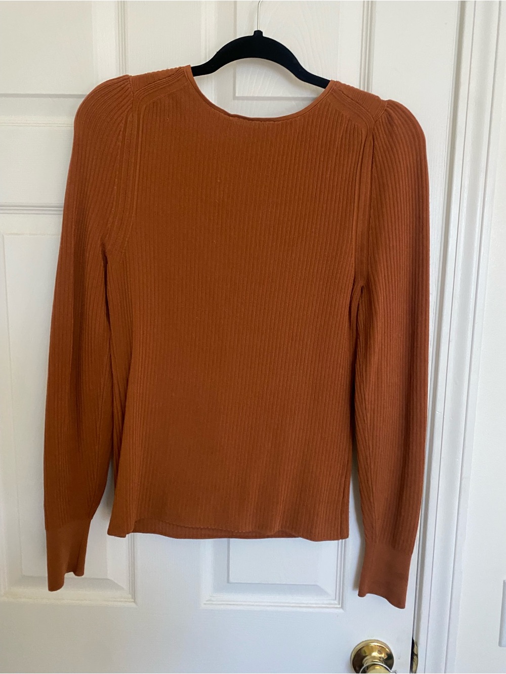 Everlane Ribbed Scoop-Neck Long Sleeve Top in Rust - Picture 3 of 3